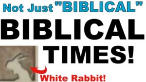 Biblical Times Hare