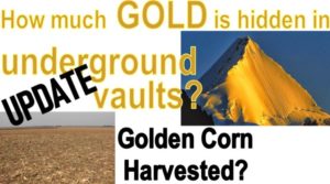 Gold in Underground Vaults - Corn Harvest