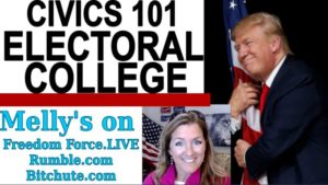 Civics 101 Electoral College
