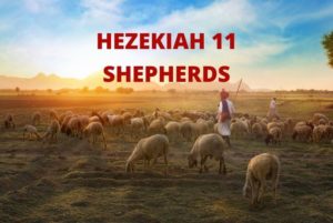 Zechariah 11  - Evil Shepherds