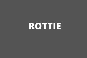 04-03-19   Rottie