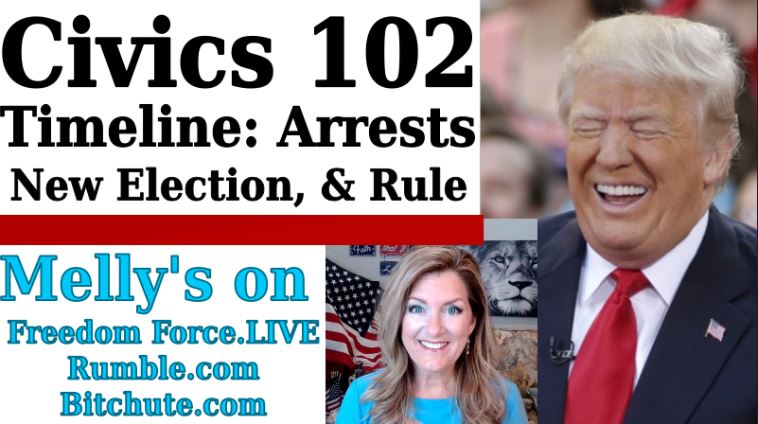 Civics 102: Timeline of Arrests; Participate in Local Government