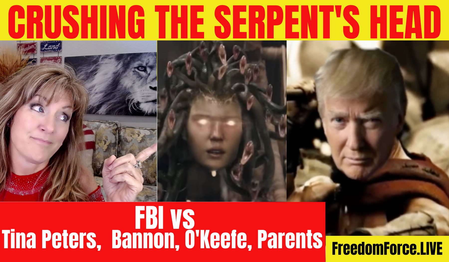 Crushing the Serpent’s Head – also FBI vs Tina Peters, Bannon and O’Keefe 11-17-21