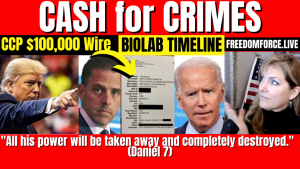 Biden Crime Family Bombshell by Grassley - CCP & Biolabs Daniel 7 3-30-22