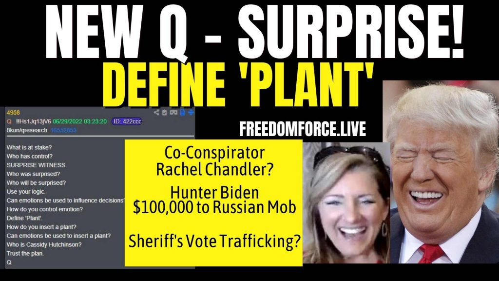 New Q – Surprise! Define Plant, Chandler, Sheriffs, Russian Mob 6-29-22