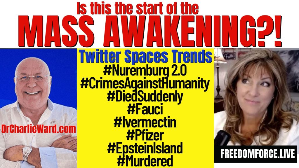 Mass Awakening? Doctor Twitter Spaces Trends, Gideon 12-28-22