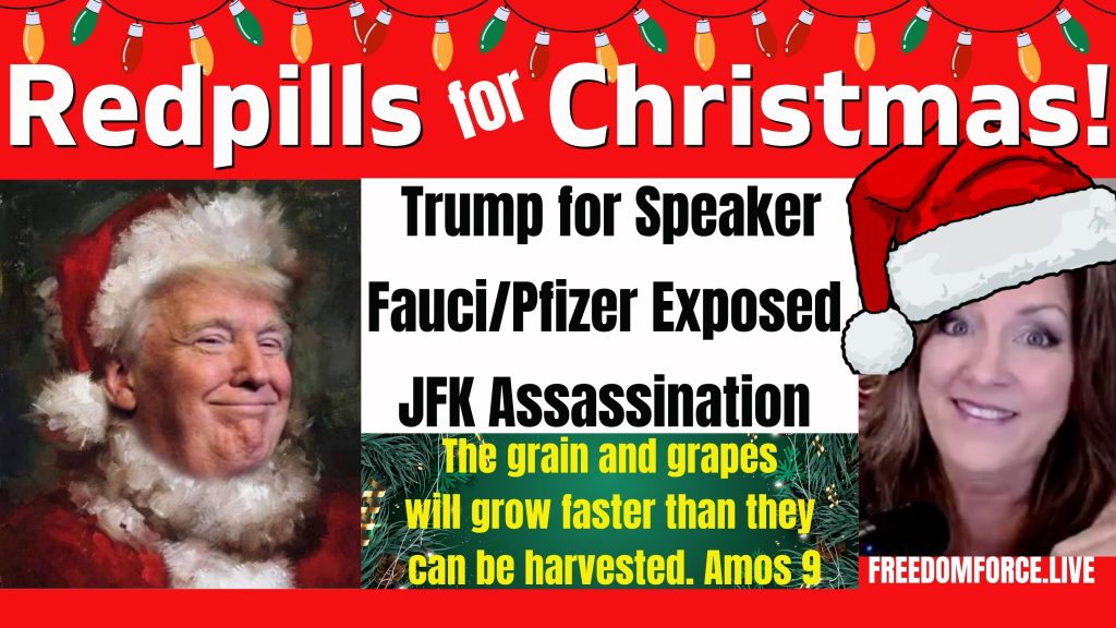 REDPILLS FOR CHRISTMAS – JFK ASSASSINATION, SPEAKER OF THE HOUSE, FAUCI 12-18-22