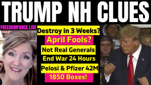 Trump Clues NH – Destroy in 3 weeks? Not real Generals? 1-29-23