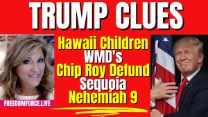 Trump Clues! WMD's, Hawaii Children, Defund DC, Nehemiah 8-20-23