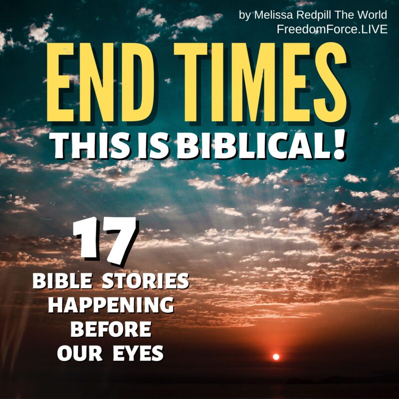 "End Times - This is Biblical!" Audiobook