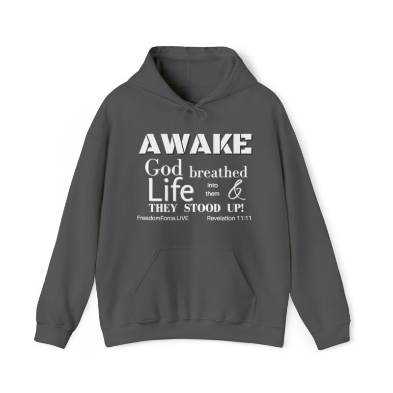 Awake Revelation 11:11 - Unisex Heavy Blend™ Hooded Sweatshirt - Image 47
