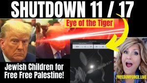 SHUTDOWN 11-17-23 TRUMP EYE OF THE TIGER – FREE PALESTINE 11-8-23